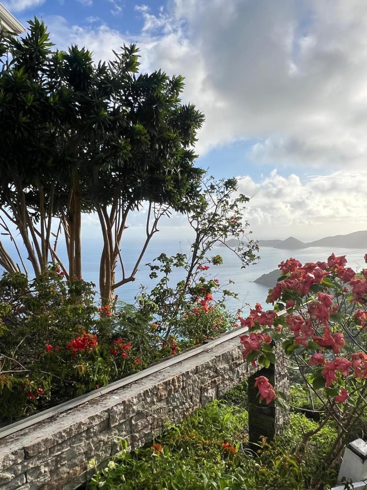 Summervillebvi Road Town  Exterior foto